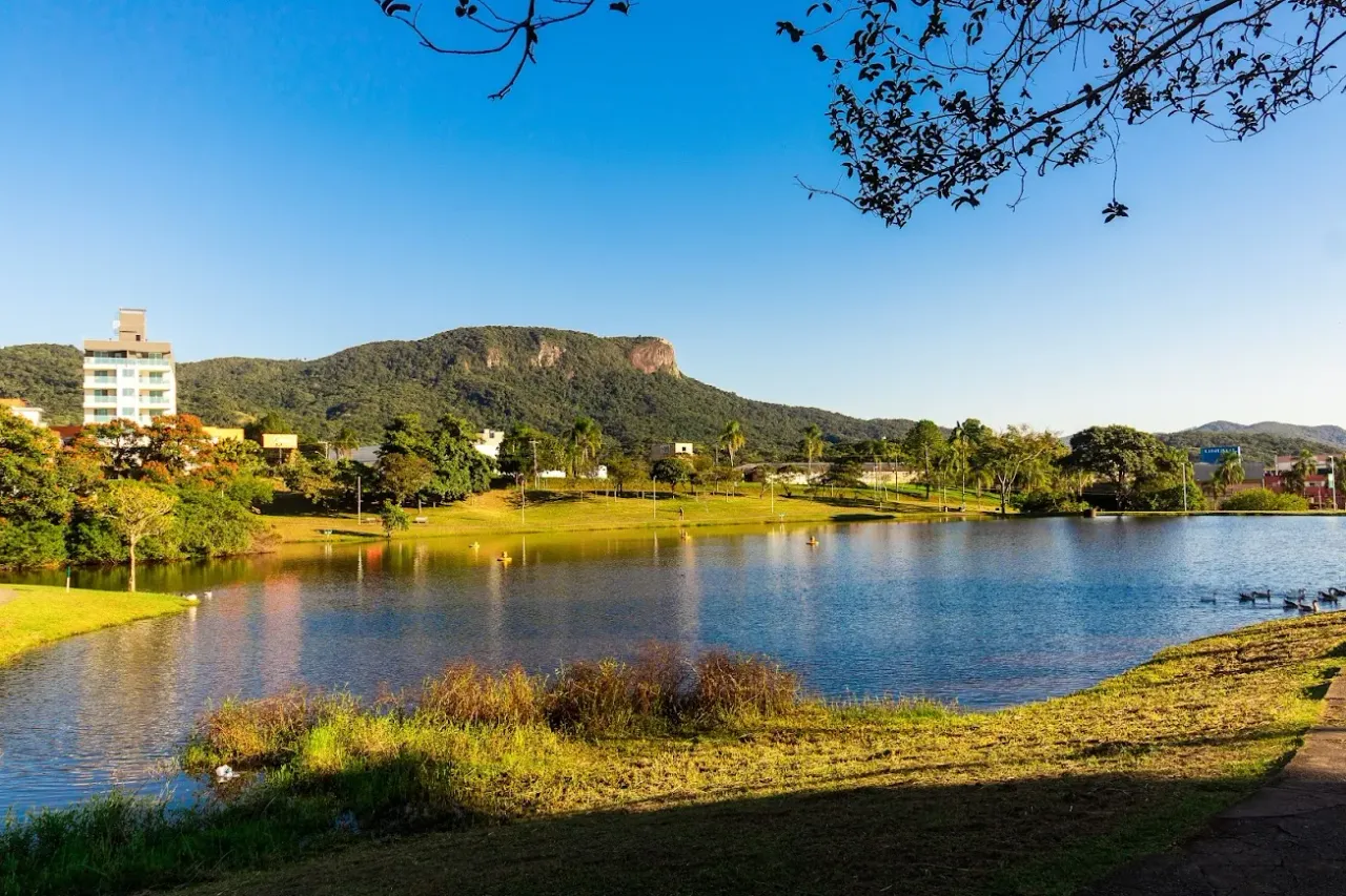 lago.webp